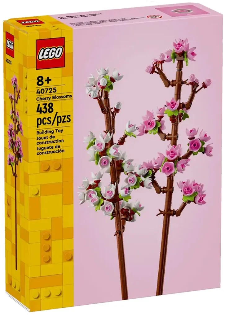 Cherry Blossoms
